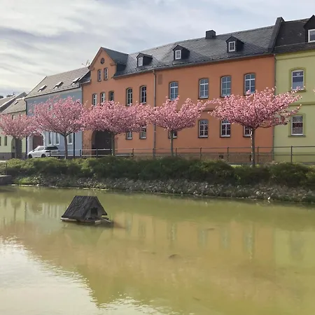 Pension Und Ferienwohnung Am Teich Schleiz Exterior photo