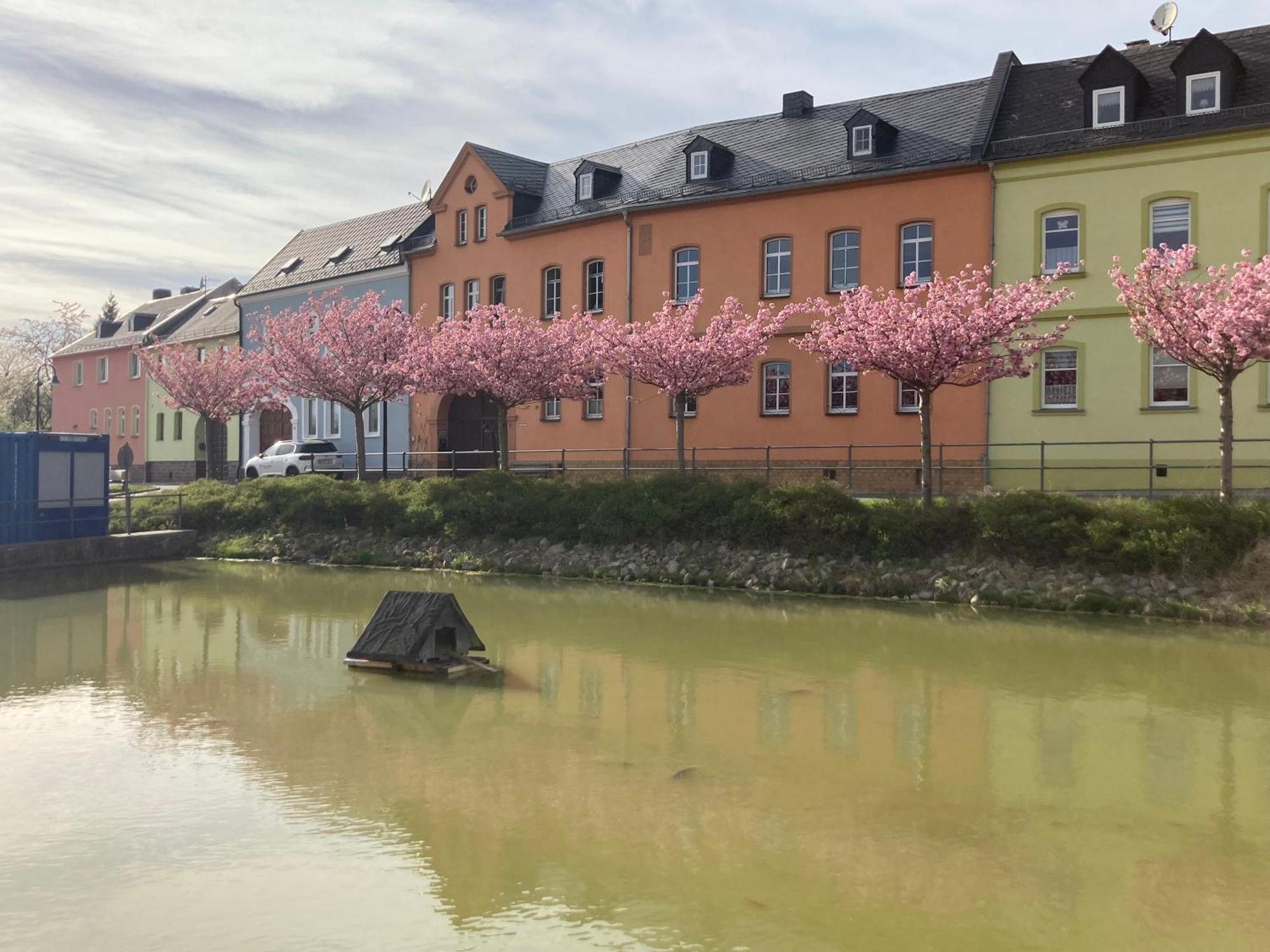 Und Am Teich Schleiz