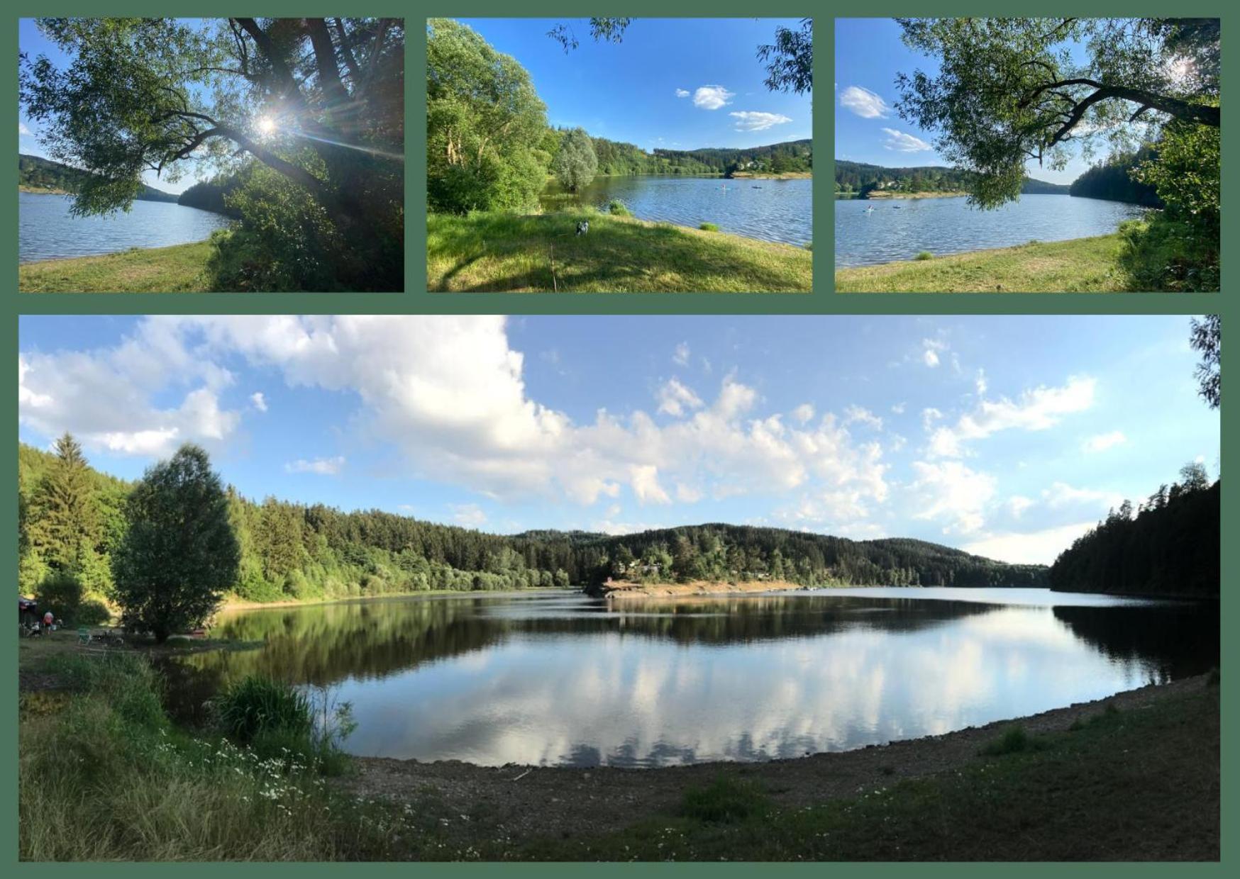 Und Am Teich